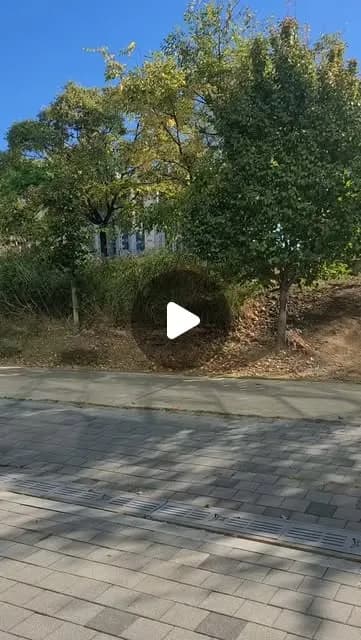 블록팡 동탄호수공원 (수·목·금 상시오픈) 쓰레드 게시물 이미지